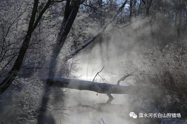 荒岛枪训
